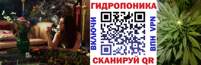 Где купить наркоту Кулебаки Псилоцибиновые грибы  Alpha-PVP  ГАШИШ  МЕФ  Конопля 