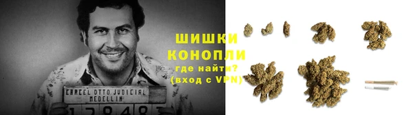 стафф Беломорск