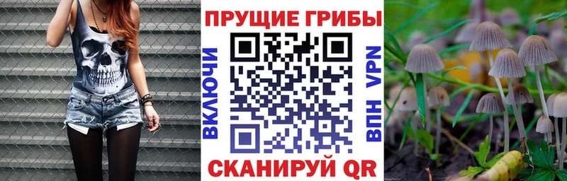 купить наркотик  Кулебаки  Псилоцибиновые грибы мухоморы 